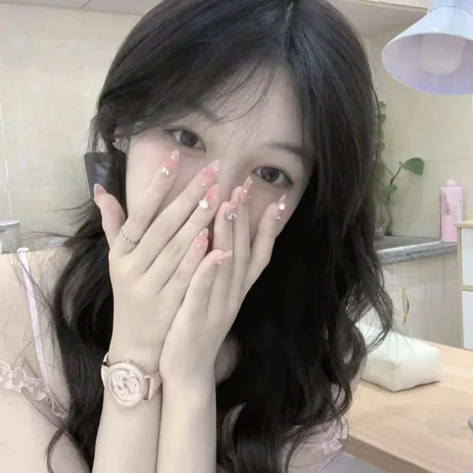 布里斯比熊